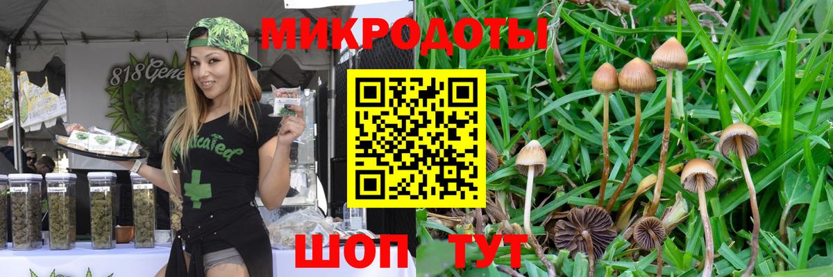 Псилоцибиновые грибы мицелий  Вход с VPN  Волгоград  Галлюциногенные грибы мухоморы 