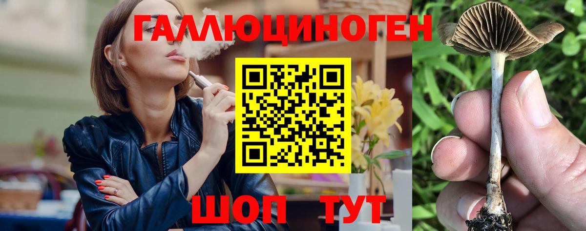 Псилоцибиновые грибы ЛСД Волгоград